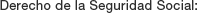 Derecho de la Seguridad Social: